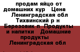 продам яйцо от домашних кур › Цена ­ 80 - Ленинградская обл., Тихвинский р-н, Березовик п. Продукты и напитки » Домашние продукты   . Ленинградская обл.